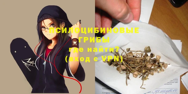 гидра Аркадак