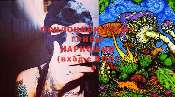 крисы Арсеньев