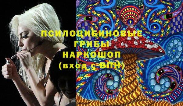 гидра Аркадак