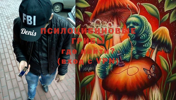 гидра Аркадак